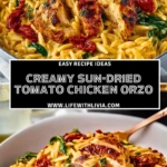 Creamy Sun-Dried Tomato Chicken Orzo- Pin 1